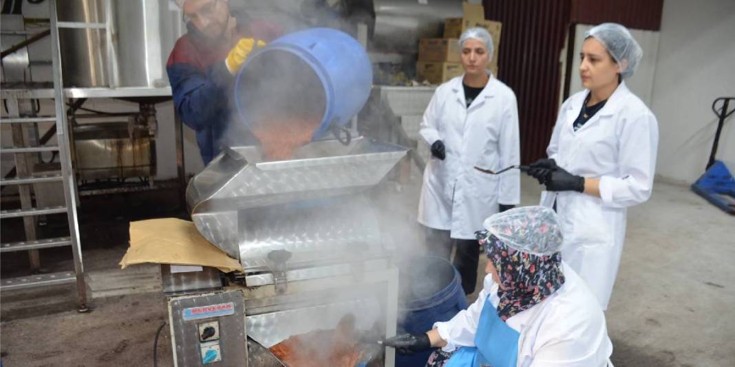 Kadın emeği kendini gösteriyor! Günde 10.000 tane üretim yapılıyor: ABD ve Rusya’ya bile satılıyor 3